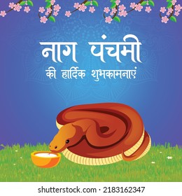Banner design of happy nag Panchami Hindu festival template.