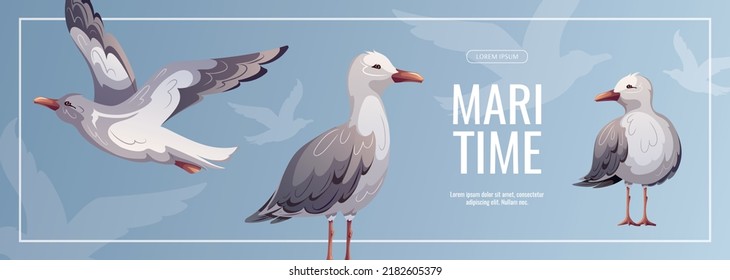 Banner design with Seagulls. Maritime, sea coast, marine life, nautical concept. Vector illustration. flyer, cover, banner template.