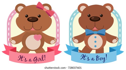 Banner design with teddy bears in blue an pink illustration