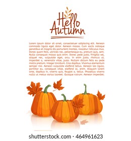 Banner design template Hello autumn. poster design with the decor of pumpkins and autumn leaves. Logo, icon, symbol hello autumn. Space for your text. Vector.