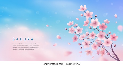 Banner design template. Vector illustration of realistic blossoming sakura flowers on blue sky background