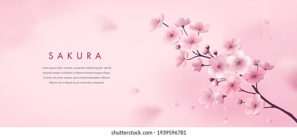 Banner design template. Vector illustration of realistic blossoming sakura flowers on pink watercolor background