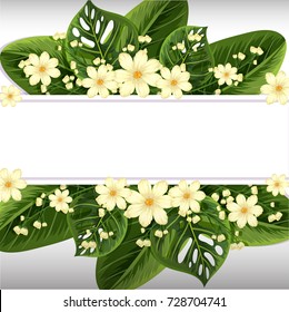 Banner design with white flowers and green leaves illustration