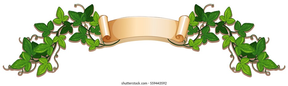 Banner design wtih green ivy vine illustration
