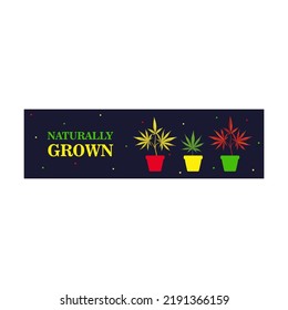 Banner Designs With Marihuana Bush And Leaves. Colorful Ganja And Text On Dark Background. Hemp And Legal Drug Concept. Template For Poster, Promotion Or Web Design