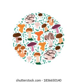Banner of different mushrooms in complex flat style.