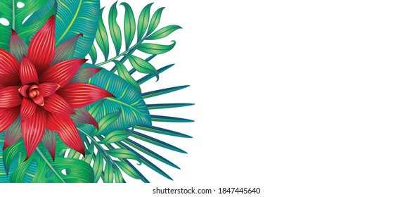 Banner with different tropical leaves and a red flower isolated on white. Vector illustration.