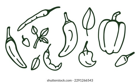 Banner. Different types of pepper, background. Vector background with handmade emblems. Sketchy design.