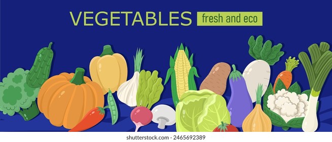 Banner with different vegetables or poster design. Vector illustration