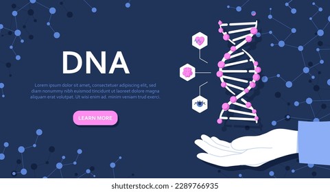 Banner mit DNA. Die Struktur des Moleküls wird von Hand gehalten. Landing Page Design. Genetischer Code, Mikrobiologie und Chemie. Medizinische Forschung und wissenschaftliche Experimente. Cartoon-Flavektor-Vektorgrafik