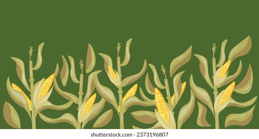 Banner with drawn corn plants on green background