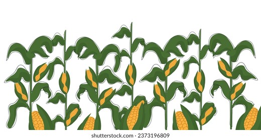 Banner with drawn corn plants on white background