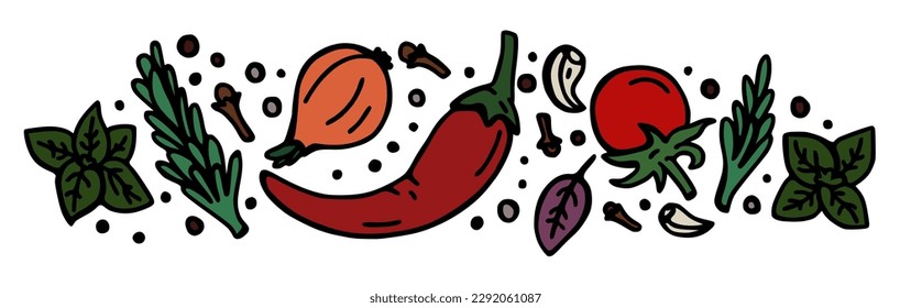 Banner of drawn vegetables, spices and greens.  Illustration isolated on a white background