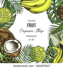 Banner  for eco store with a vector illustration of pineapples, banana, coconut and palm leaves.