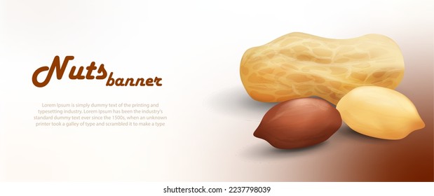 banner example using a realistic vector peanut icon