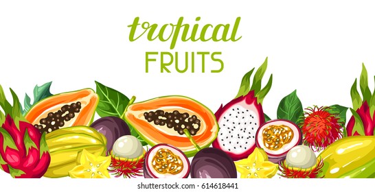 Banner with exotic tropical fruits. Illustration of asian plants.
