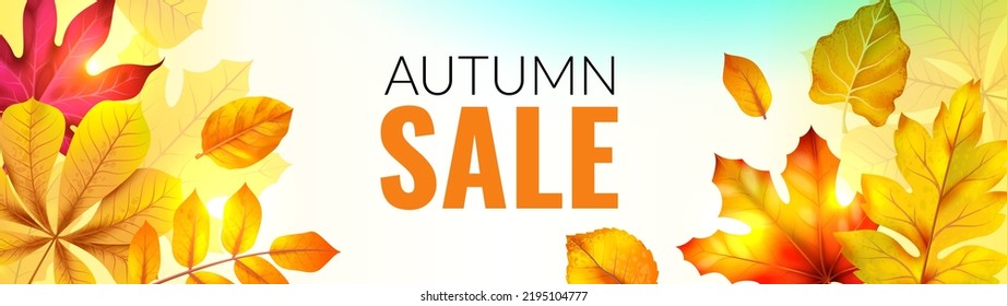 Banner With Fall Leaves. Autumn Season Discount Offer With Red And Orange Realistic Foliage, Horizontal Poster With Copy Space, Botanical Frame. 3D Isolated Elements, Vector Illustration