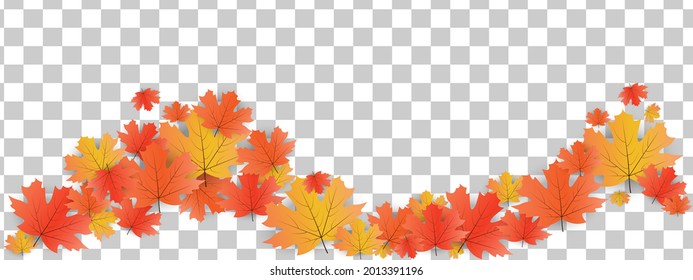 Banner with falling autumn leaves on transparent background.Hello autumn.Collection of yellow,red,orange autumn leaves.