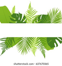 Banner with ferns. Tropical leaves. Vector illustration.