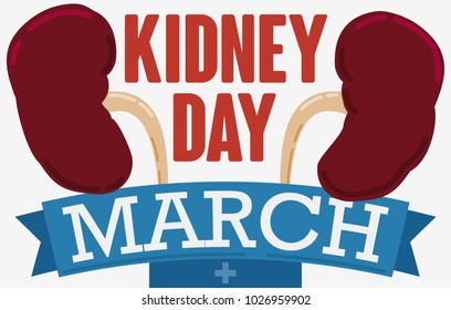 Banner in flat style with a pair of kidneys, ribbon and a greeting sign for Kidney Day celebration in March.