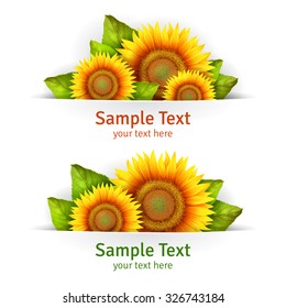 Banner floral background or card template with blooming sunflowers, vector background