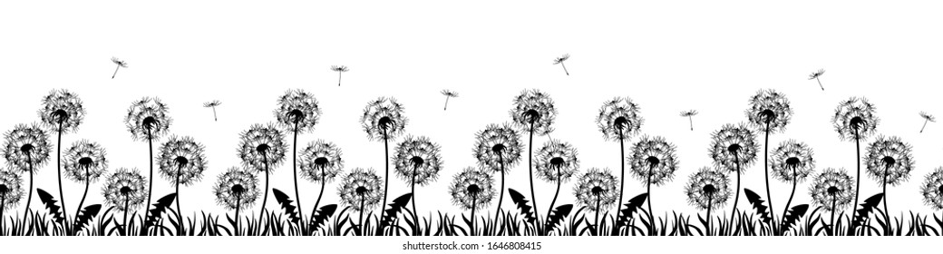 Banner with flowers, dandelions. Silhouette of black dandelions on white background. Floral print pattern, textile pattern. Seamless vector illustration. Black flowers with black grass, flying seeds.