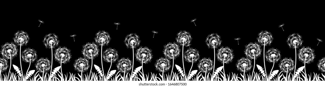 Banner with flowers, dandelions. Silhouette of white dandelions on black background. Floral print pattern, textile pattern. Seamless vector illustration. White flowers with white grass, flying seeds.