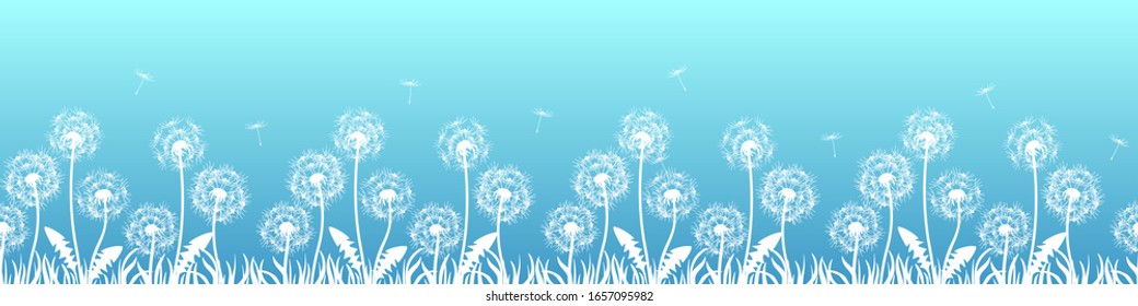 Banner with flowers, dandelions. Silhouette of white dandelions on blue background. Floral print pattern, textile pattern. Seamless vector illustration. White flowers with white grass, flying seeds.