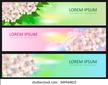 Banner flowers with Sakura. Flowers background. Design of card with flowers