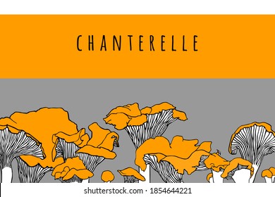 Banner with forest mushrooms. Outline drawings with chanterelles and place for text.