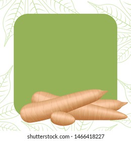 banner frame of cassava fresh for copy space, cassava cut slice for tapioca flour industry or ethanol, pile yucca cassava tuber on frame, raw manioc cassava on template banner green background empty