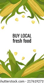Banner frame with corn on the cob and leaves vertical. Buy from locals. Organic products poster or ad with place for text