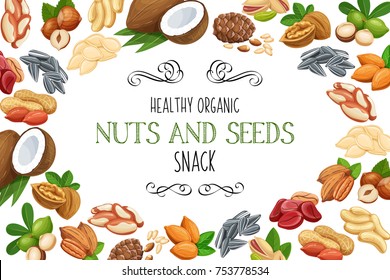 Banner frame template with nuts and seeds.  Cola nut, pumpkin seed, peanut and sunflower seeds. Pistachio, cashew, coconut, hazelnut and macadamia. Vector illustration.