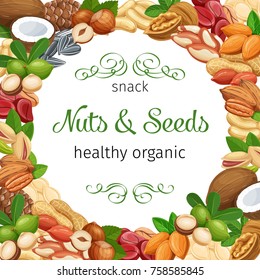 Banner frame template with nuts and seeds. Cola nut, pumpkin seed, peanut and sunflower seeds. Pistachio, cashew, coconut, hazelnut and macadamia. Vector illustration.