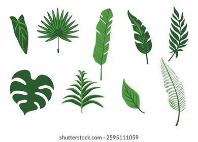 Banner frame with tropical leaves, flowers. Summer background with exotic jungle plants