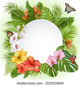 Banner with frame and vegetation.Vector illustration with a round frame, tropical plants and butterflies.