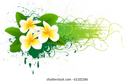 Banner with frangipani