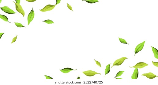 A banner with fresh green leaves. A horizontal template. Vector illustration.
