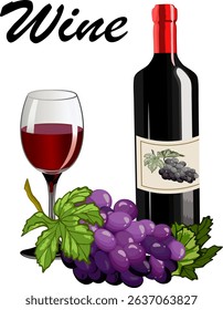 Banner with grapes and wine.Illustration with grapes and wine in a glass and bottle on a transparent background with text.