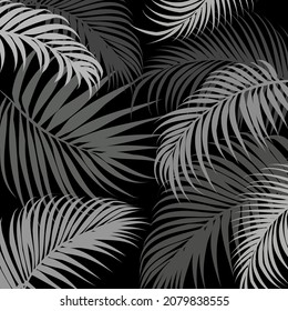 Banner gray tropical leaves. Vector graphics