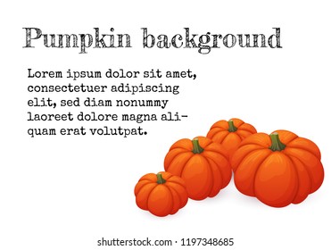 Banner, greeting card, leaflet design template.Four orange pumpkins with green stems on white background. Halloween, thanksgiving, harvest, autumn symbol.