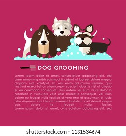 Banner with grooming dogs ( basset hound, yorkshire terrier, West Highland White Terrier)  with the inscription. Vector modern poster in flat style on a purple background.