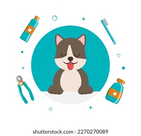 Banner group of cute dog tools and supplies in flat vector style. pet care illustration for content, label, banner, graphic and greeting card. Vector illustration