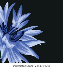 banner with half a bud of a blue, hairy, field cornflower on a black background for advertising or printing or calendar, vector