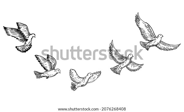 Banner Hand Drawing White Doves Doves Stock Vector (Royalty Free ...