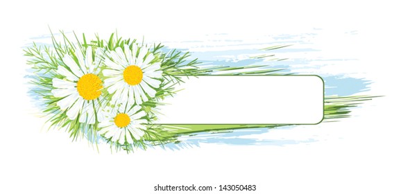 Banner with hand drawn chamomiles