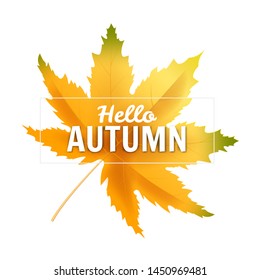 Banner Hello Autumn leaf template background. Yellow and brown colorful leaves. Banners, flyers, presentations. Vector illustration