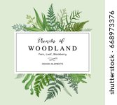 Banner with herbs, leaves and ferns. Frame with a leafy bouquet.  Floral design elements. Vector illustration. Vintage style.