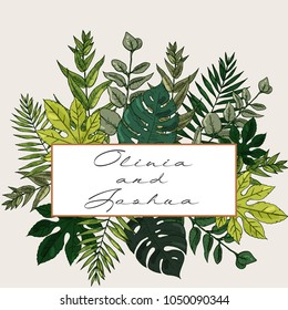 Banner with herbs, leaves and ferns. Frame with a leafy bouquet. Floral design elements. Vector illustration. Vintage style.