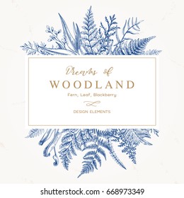 Banner with herbs, leaves and ferns. Frame with a leafy bouquet.  Floral design elements. Vector illustration. Blue